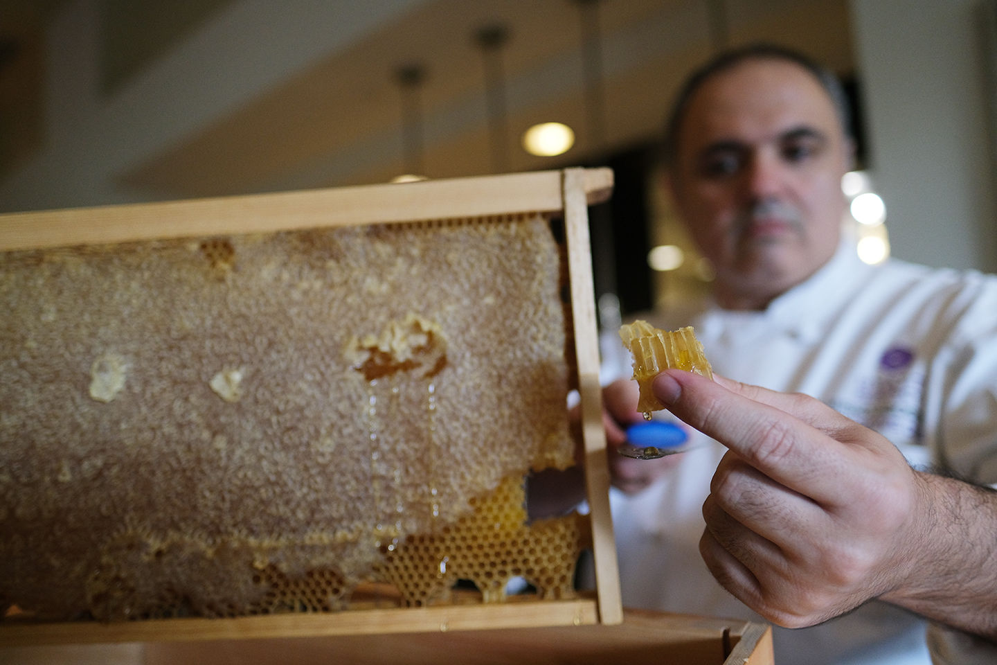 Guam’s sweetest secret: locally grown Hafa Adai Honey